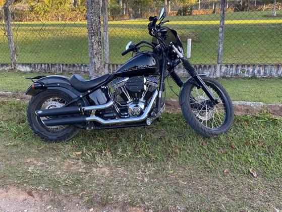 HARLEY-DAVIDSON SOFTAIL BLACKLINE 